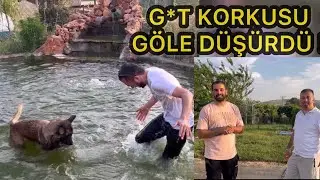 ANTEPTE BAŞIMIZA GELMEYEN KALMADI @akinkirkiz  KÜMESLERİ VE BAŞA BELA KÖPEKLERİ