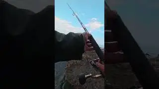 Serene Coastal Fishing 🌊🎣: Tranquility at the Rocky Shore