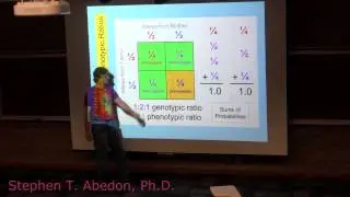 Genotypic versus Phenotypic Ratios