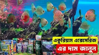 Aquarium Fish Price In Bangladesh 2026🐠Aquarium Fish Price | Aquarium | Aquarium Fish Price In BD🐠