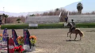 1.40m Enviro Equine Jumper: Balando and Karl Cook