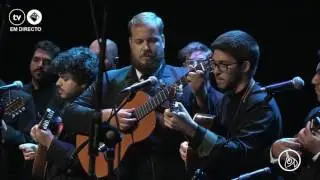 A TUA no XXVI FESTUNA
