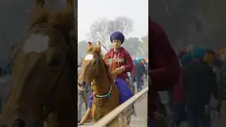 Nihang Sikhs lead a highly disciplined #nihang #sikh #panjab #sugatoproductions #india