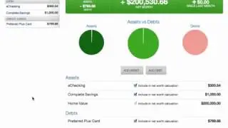 Net Worth - Editing Assets