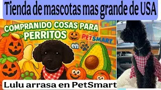 🎃🐾 &iexcl;Mira lo que encontramos en PetSmart para Lulu! 👻 Disfraces y cositas irresistibles para perritos