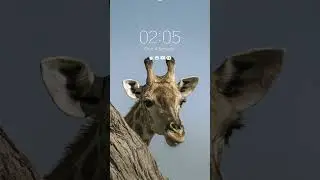 Qarama
