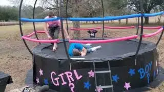 GENDER SMACKDOWN! 🥊 PINK vs BLUE | EPIC GENDER REVEAL