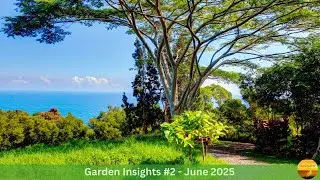 Garden Insights #2 June 2025: The Call To Remember, Garden Seeds Awakening, Ascension Is Remembrance