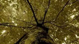 Vargrimm - lied der walk&uuml;re (akustisch)