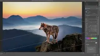 WOLF picture editing