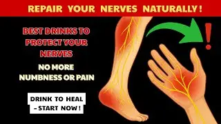 Senior Health | Top Drinks to Repair NERVES & Prevent Nerve Damage! 🧠🥤✨ #healthyaging #seniorhealth
