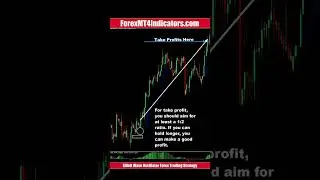 Elliott Wave Oscillator Forex Trading Strategy