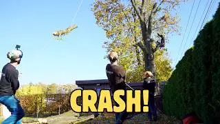Tree Removal GONE WRONG? Millimeters from Disaster!