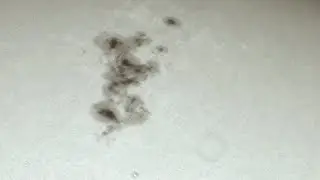 Massive Sunspots from a 6 inch dobsonian