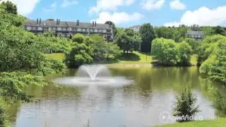 Tamarron Apartments in Olney, MD - ForRent.com