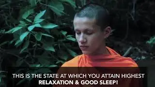 My Healing Sound - Learn how to develop the brain waves of a Tibetan monk !