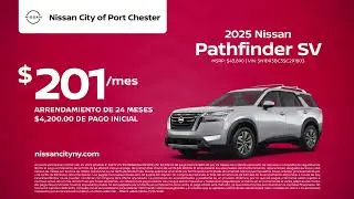 Nissan 01/11/2026 6743311