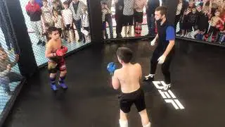 Dominator Extreme fight-Pro Финал Ншан VS Давид