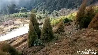 mayodia guest house or hill station view,, of arunachal Pradesh india