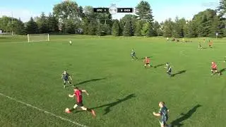 Felix Wilson - 2019 Season