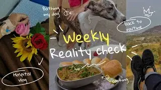 Weekly Reality Check ✨ | Hospital Days, Bathing My Dog, Cooking & Getting Back on Track
