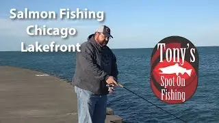 Salmon Fishing Chicago Lakefront 2018