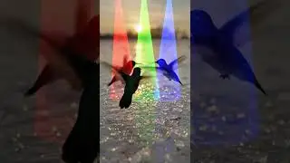 We lost one beautiful video from a powerful surge. No more time so we decided to release 3 lesser.