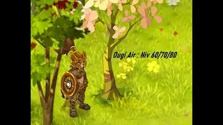 OUGI AIR PVP LVL 60/70/80 EN 10/6