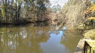 Hike Summary: Chehaw Park in Albany, Georgia