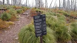 Making up a song while hiking past Summit Lake in late September.