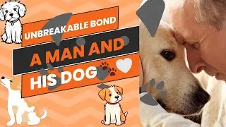 The Heartwarming Bond Between Humans and Dogs ❤️🐕  A Tribute to the Older Generation #dog #doglover