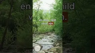 Helen is ook jouw pijnlijke delen liefhebben