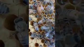 13 июня 2023 г.