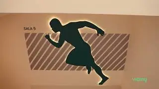 Nuevo Viding Calvi&aacute;