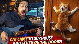 Went to the Studio for a New Project | A Cat Stuck on Our Door & Saved Her Life 🐱 | Emotional Vlog