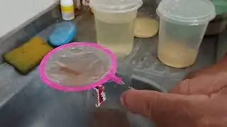 Alimentos para alevinos de Betta