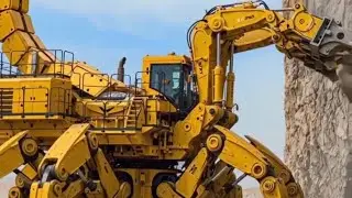 WASP NEST vs EXCAVATOR #viral #video #viralvideo #viralshorts #funny #foryou #freefire #comedy 