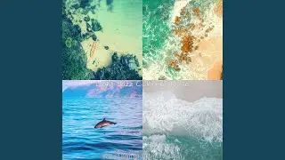 Peaceful Backdrops for Summer Nights