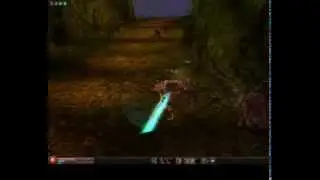 Metin2 Oldschool Server Apollo2 Affendungeon / PM's Farmen