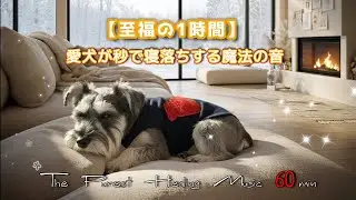 【1時間】愛犬が秒で寝落ちする魔法の音楽と焚き火音｜雪降る窓辺でリラックス｜究極の癒やしヒーリングBGM【ミニチュアシュナウザーのレミオ】