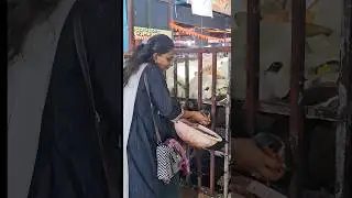 Chinni Krishnuni govulu 🐄🐮🥞🍌🥥#youtubeshorts #trending #viral #ytshorts #shortsvideo #food
