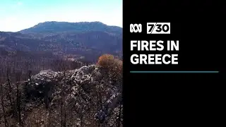 Greece's wildfires are dying down but anger at the government&rsquo;s response grows | 7.30