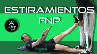 🥇GUÍA DEFINITIVA DE ESTIRAMIENTOS🥇  PARTE 3 (FNP)