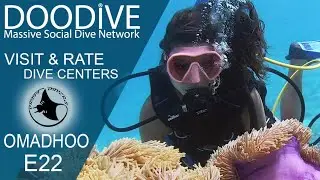 Maldives Island E22 Site Black Coral - Visit & Rate Drift Divers Dive Center - OMADHOO ISLAND