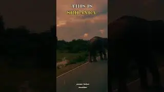 this is srilanka 🇱🇰  💪#short #visitsrilanka #ceylon #sri #explore