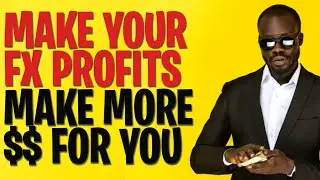 Finance & Money matters: Investing forex trading money for passive income - Forex Trading Strategies