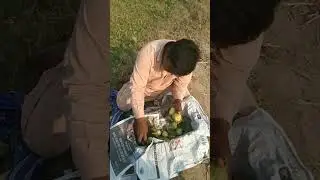 Sabse sasta fruit Pakistan mein #foryou #youtube