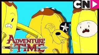 La Delgada Línea Amarilla | Hora de Aventura LA | Cartoon Network