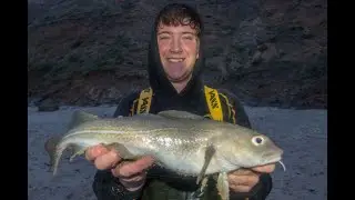 Bass Fishing | Norfolk Vs Suffolk - Summer Codling! |