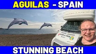 Lies - Bullie - Dolphins - Best Beach Parkup - SPAIN